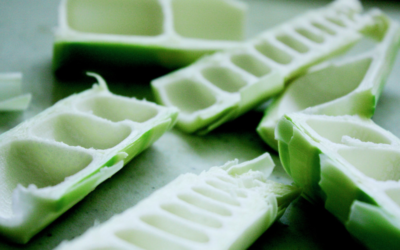 Edible bamboo for the dinner table